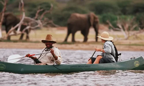 Vue du Canoë sur le Lac Manyara
