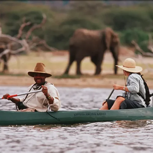 Vue du Canoë sur le Lac Manyara