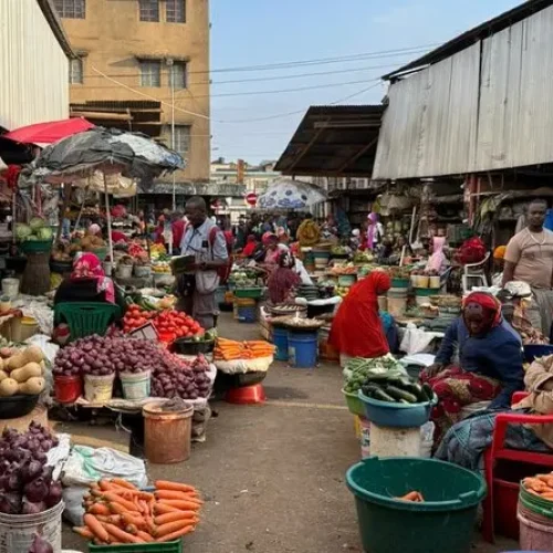 Vue du Marché Alimentaire Traditionnel d_Arusha
