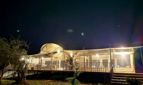 Camp de tente de luxe dans le parc du Tarangire, proche de Kuro, confort moderne et faune sauvage.