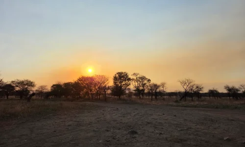 Vue du coucher de soleil au camping Nyani