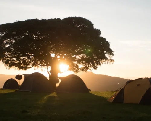 Vue du coucher de soleil au camping Simba