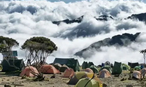 Vue du mont Kilimandjaro