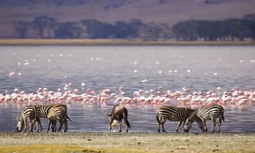 Vue du parc national du lac Naivasha