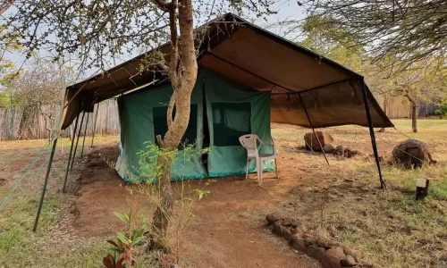 Vue extérieure des tentes du camping Kizumba
