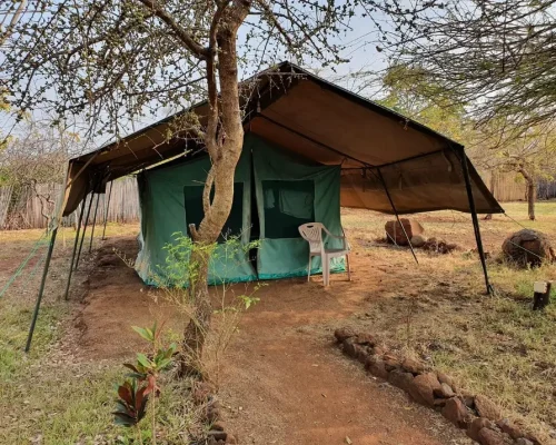 Vue extérieure des tentes du camping Kizumba