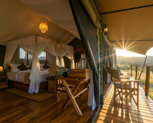 Zuri camp
