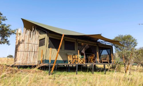Zuri camp