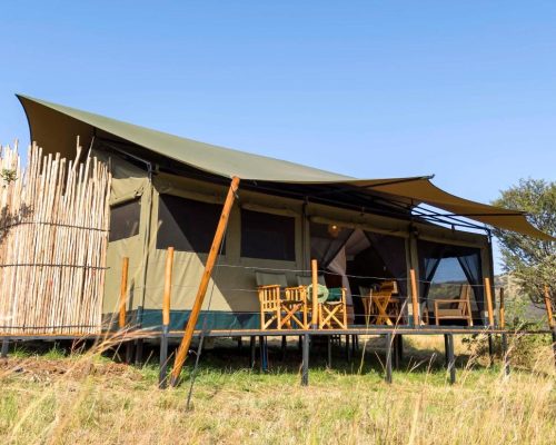 Zuri camp