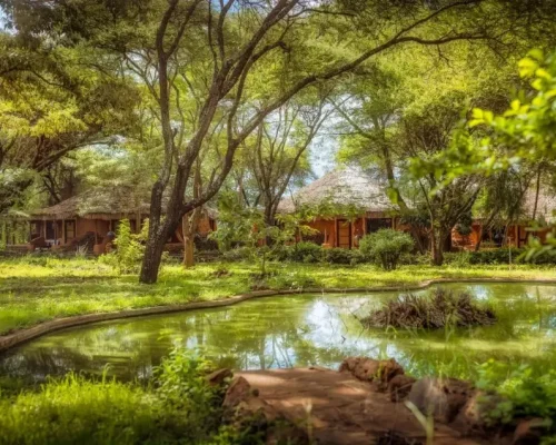 ambosile sopa lodge vue