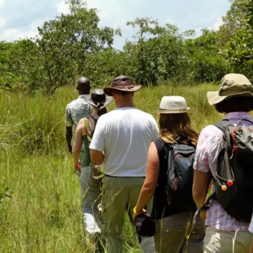safari à pied dans le parc national d’arusha