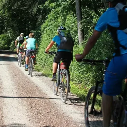 VTT dans le Parc National d’Arusha