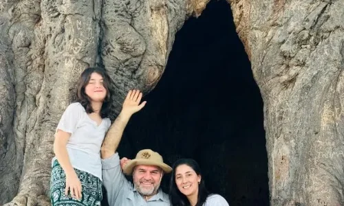 baobab géant dans la savane de tarangire
