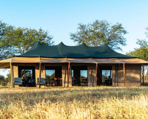 camp-harmonysafaricamps-tanzania.jpg