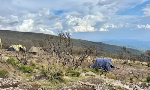camps-mweka-camps