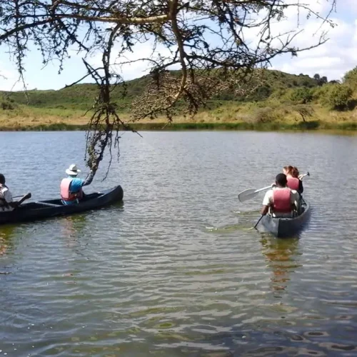 Meilleure période pour le canoë sur les Lacs Momella La meilleure période pour profiter du canoë sur les Lacs Momella est pendant les saisons sèches, de juin à octobre et de janvier à février, lorsque les niveaux d’eau sont adaptés, le temps est agréable et la faune est plus facile à observer. Les sorties tôt le matin ou en fin d’après-midi offrent des températures plus fraîches, des eaux calmes et une belle lumière naturelle, ce qui améliore à la fois l’expérience de pagayage et les opportunités de photographie.