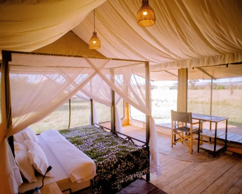 chambre double glimpse of africa safari camp
