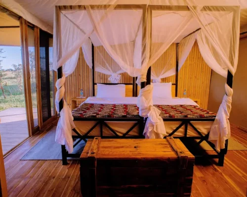 chambre double glimpse of africa safari camp