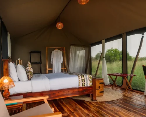 chambre-simple-untamed-migration-camps