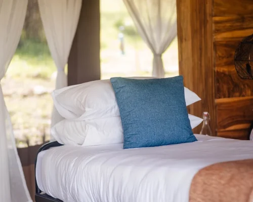 chambre twin du singing grass camp