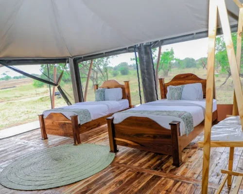 chambres-untamed-migration-camps