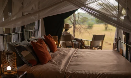 chambres zebra intimate camps serengeti