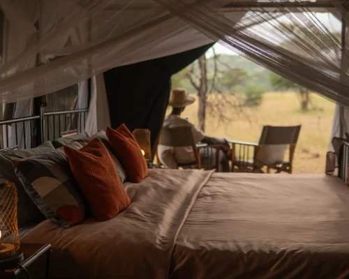chambres zebra intimate camps serengeti