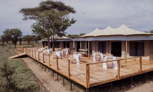 Conserve safari central camp