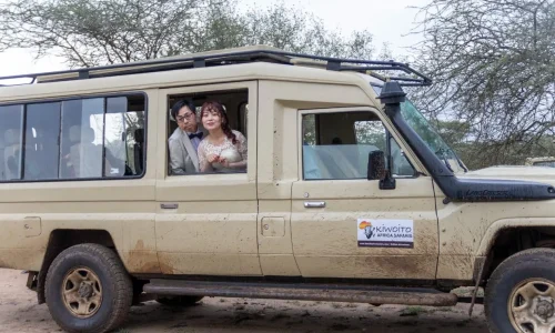 couples-dans-un-jeep-de-safari-kiwoito-africa-safaris