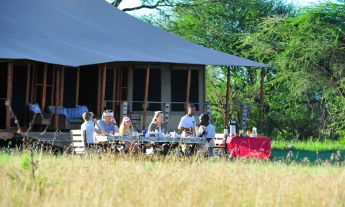 déjeuner en brousse glimpse of africa safari camp