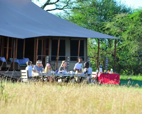 déjeuner en brousse glimpse of africa safari camp