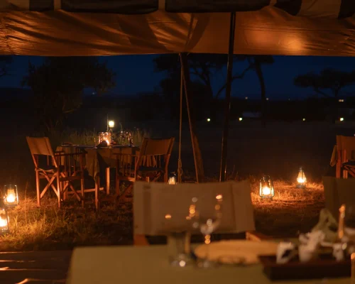 dîner en plein air zebra intimate camps serengeti