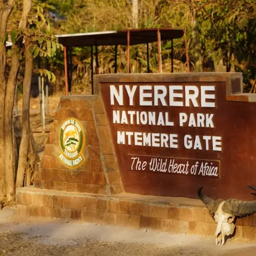 entree-mtemere-parc-national-de-nyerere
