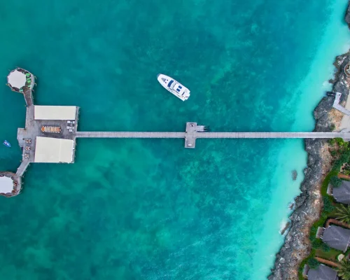essque-zalu-zanzibar