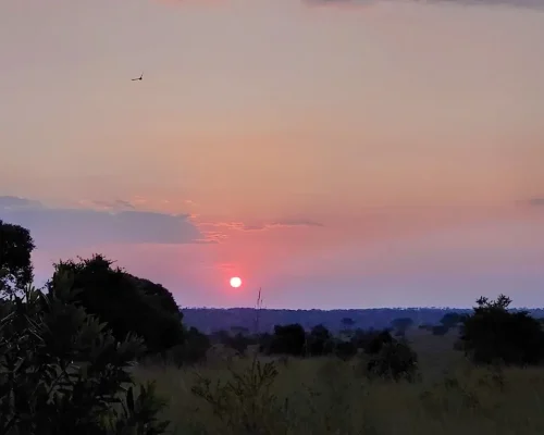 experience-sundowner-untamed-migration-camps