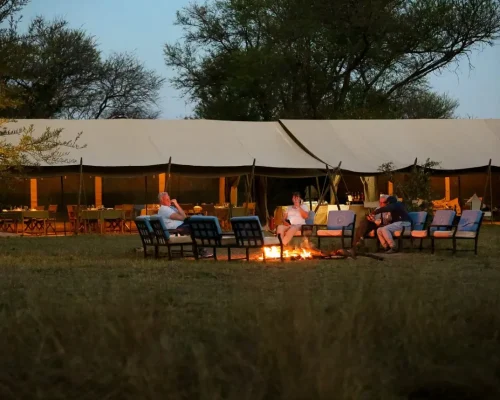 foyer extérieur zebra intimate camps serengeti