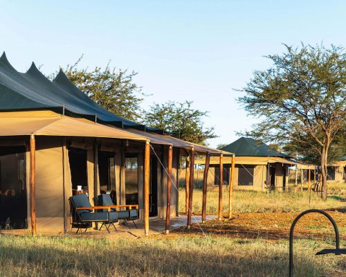 harmony-safari-camps.jpg