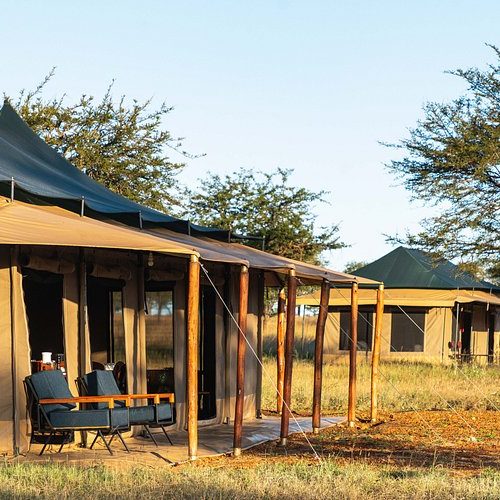 harmony-safari-camps