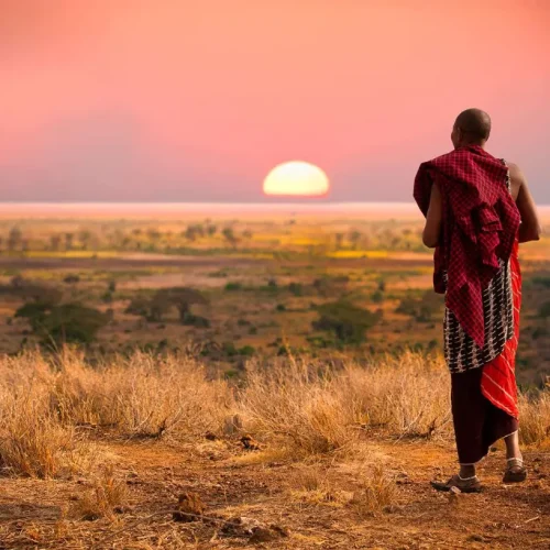homme maasaï observant le lever du soleil