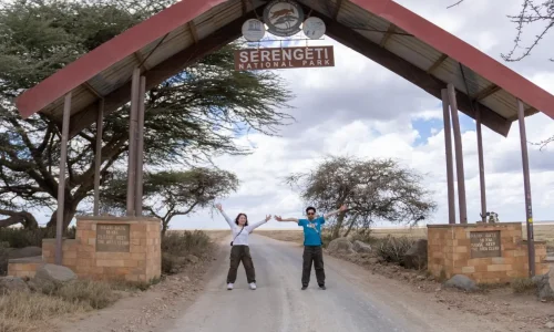 honeymooners-au-parc-national-du-serengeti-lors-de-leur-lune-de-miel-en-safari-en-tanzanie-avec-kiwoito-africa-safaris