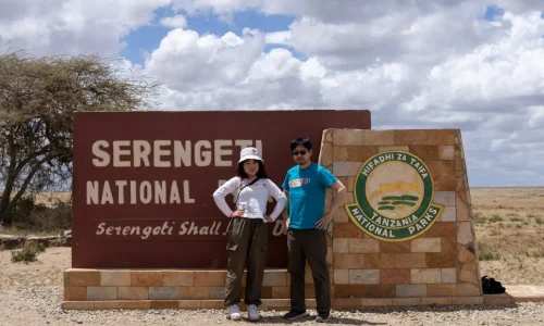 honeymooners-au-parc-national-du-serengeti-lors-de-leur-lune-de-miel-en-safari-en-tanzanie