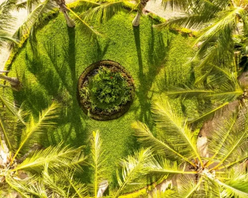 hotel-garden-aerial-view
