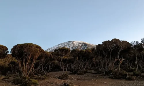 camp de Mweka avec vue sur le Kilimandjaro