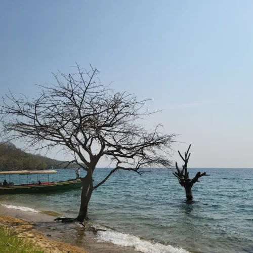 lac Tanganyika dans le parc national de Mahale
