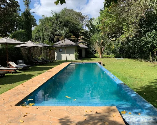lake-duluti-lodge-piscine