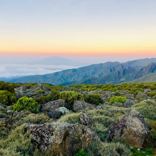 lever de soleil sur le Kilimandjaro