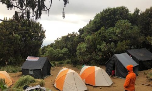 machame-camp