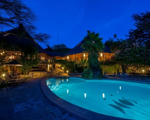 masai mara sopa lodge swimming pool