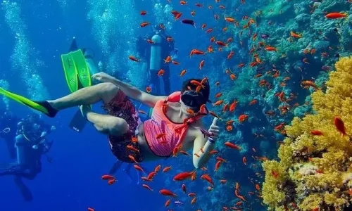 mnemba-island-snorkeling-tour