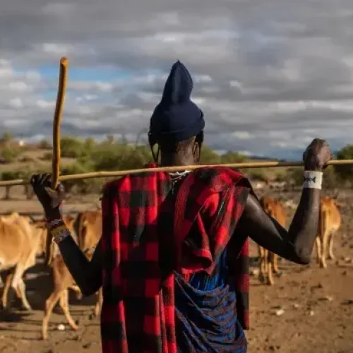 mode de vie maasaï ngorongoro